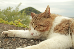 ＠2021‐04‐27