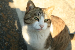 日曜＠2019-01-13