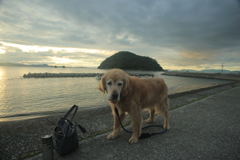 みゅうちゃんと散歩