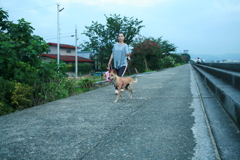 @2019-08-20