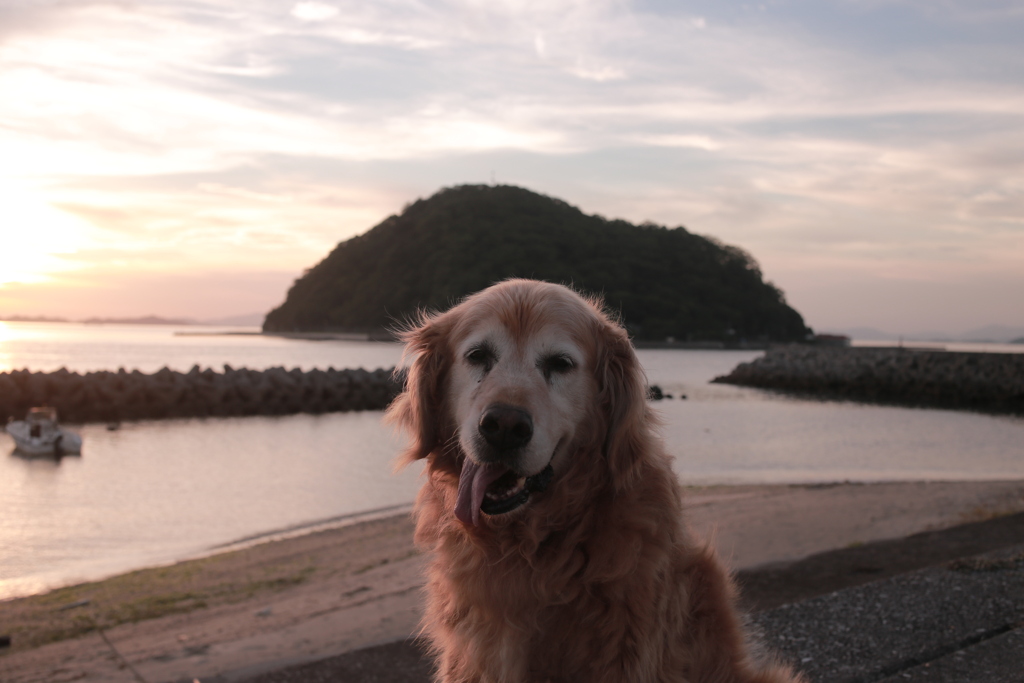 みゅうちゃんと夕涼み