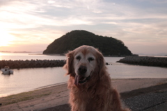みゅうちゃんと夕涼み