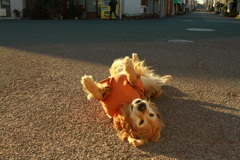 みゅうちゃん、駅でおっぱっぴー