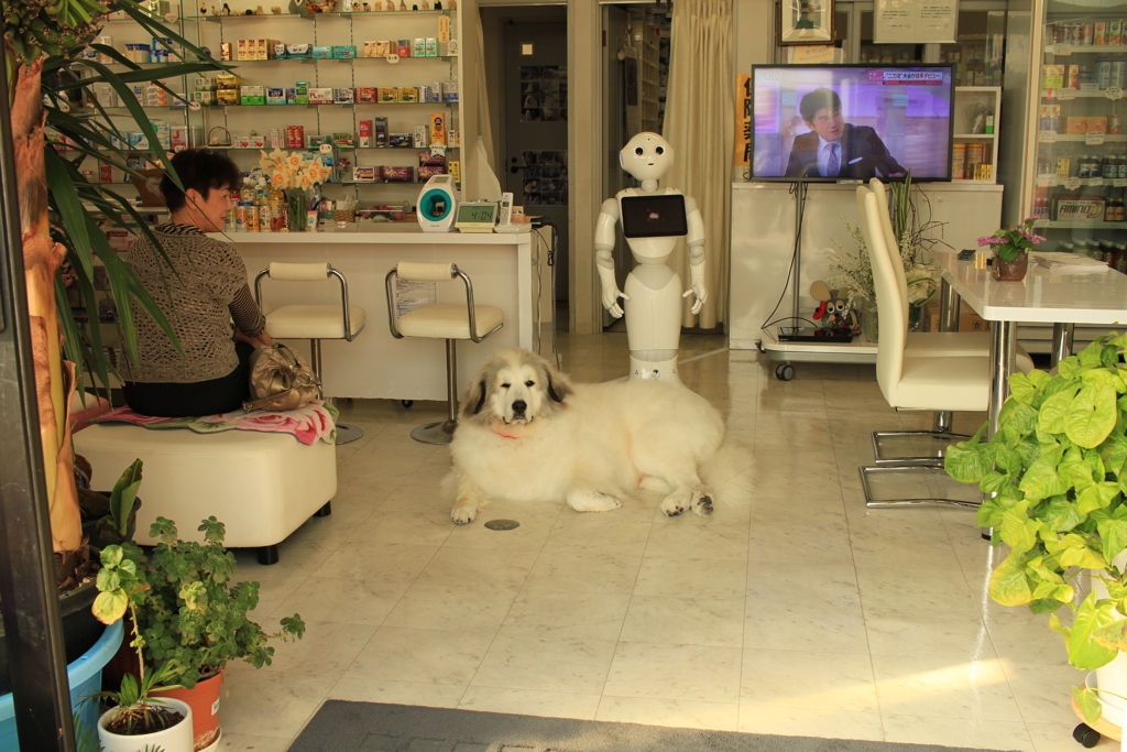 お店番してるココちゃん