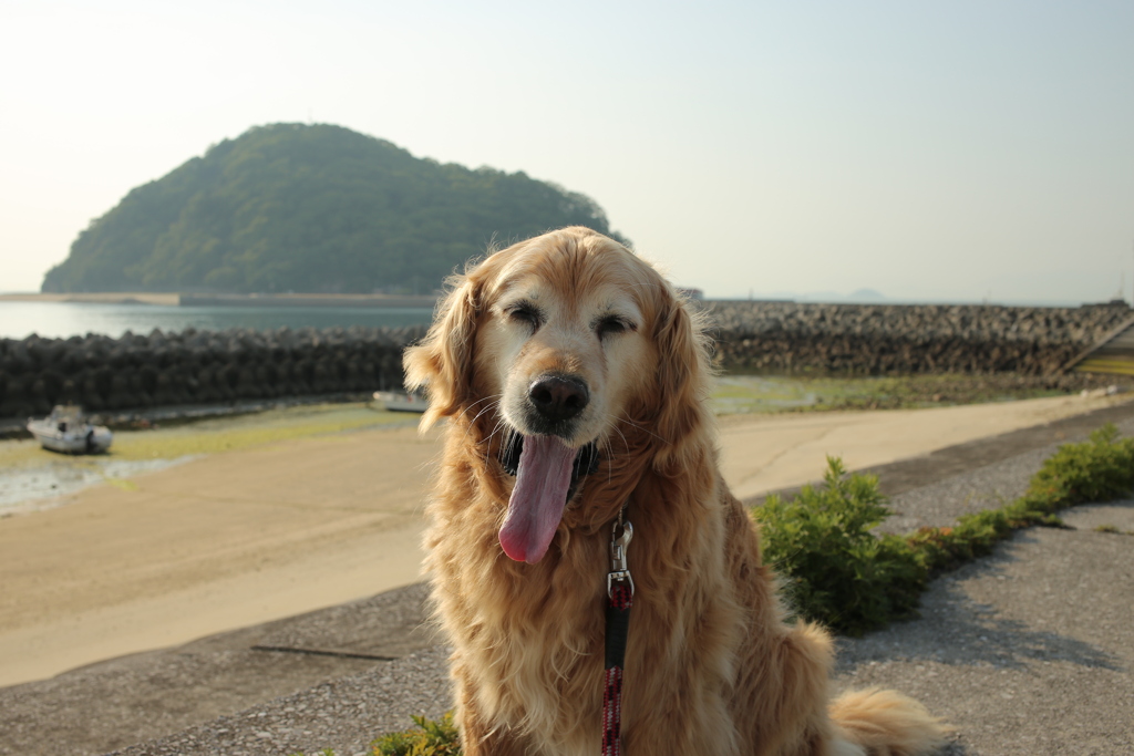 みゅうちゃんとまた散歩できるとは土曜の時点で想像できなかった