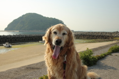 みゅうちゃんとまた散歩できるとは土曜の時点で想像できなかった