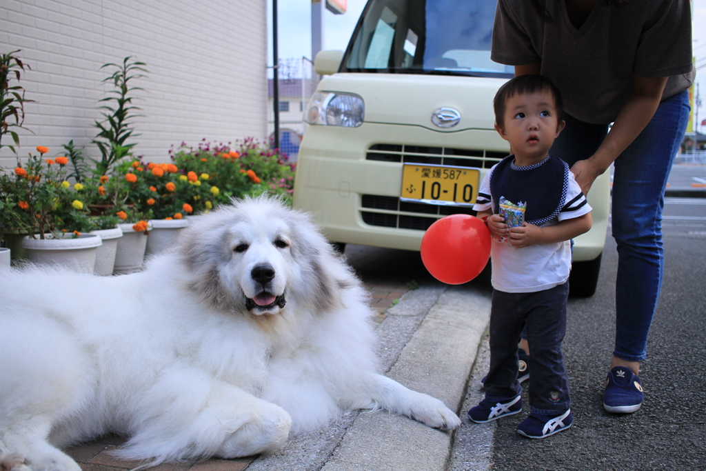 おっきくてこわ～い