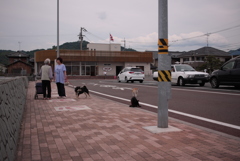 松山へ行く