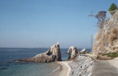 昨日　フィルムにて