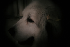 ホルガトイレンズにて