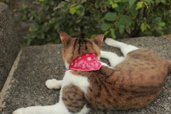 腰にリボルバー携帯してたら完璧