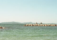 ロモ　カラーネガ100