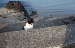 昨日　フィルムにて