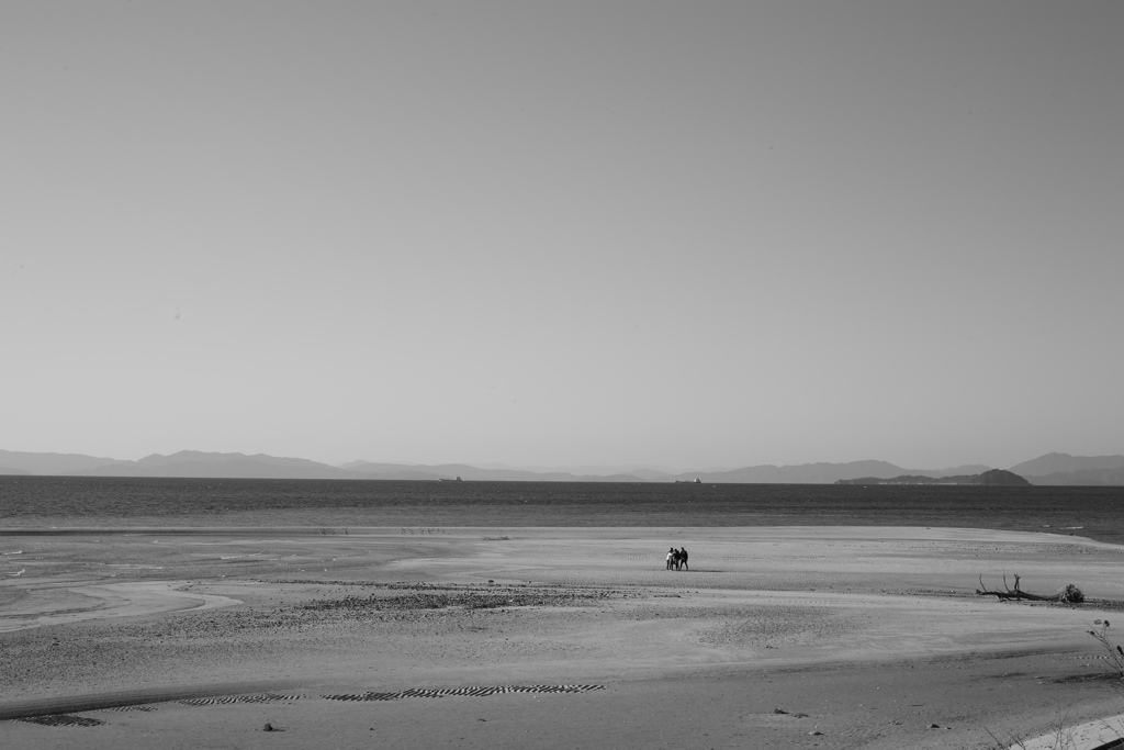 レンズの違いもあるんだろうけど、フルサイズって写りますな　!(^^)!