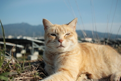 これを写してる姿を想像してみてください!(^^)!