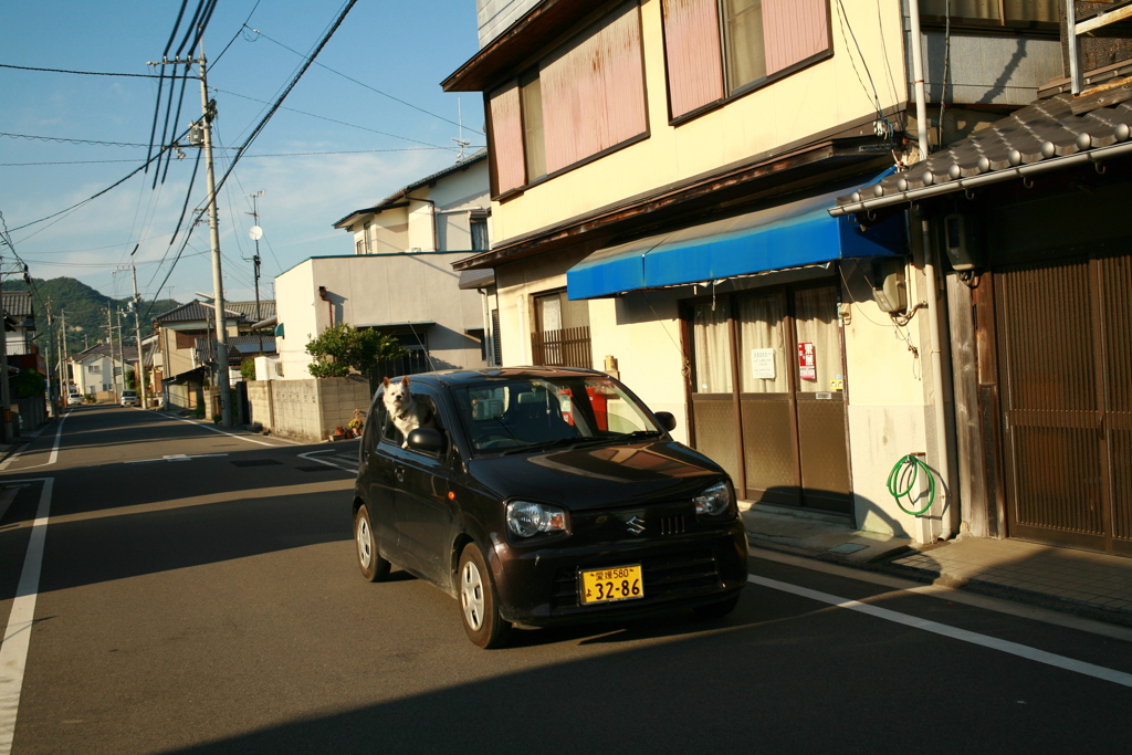 箱乗りイェイイェイイェイ