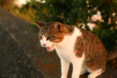 IMG_6530 asdf