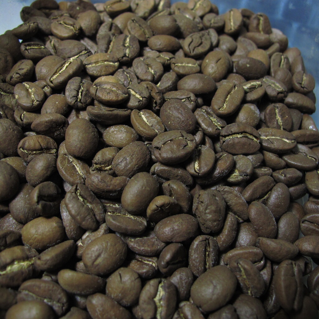 バリアラビカ神山　ウンマーな香りがする