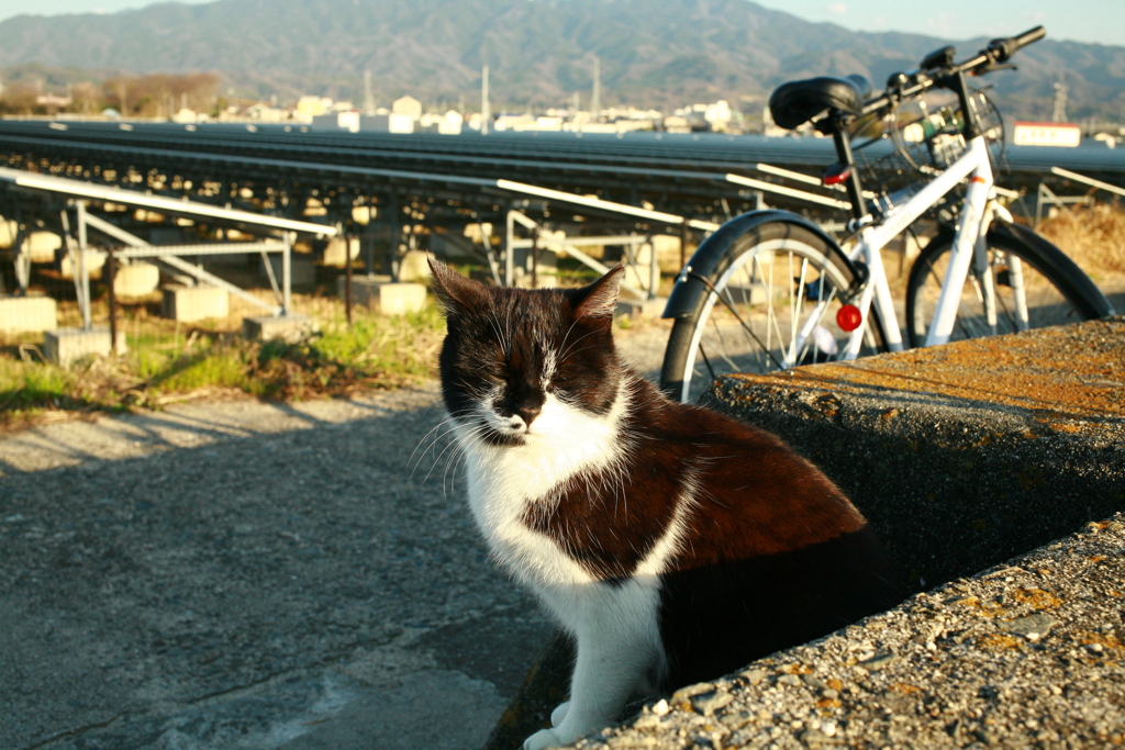 @2020‐03‐11
