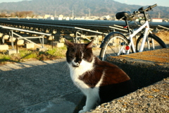 @2020‐03‐11