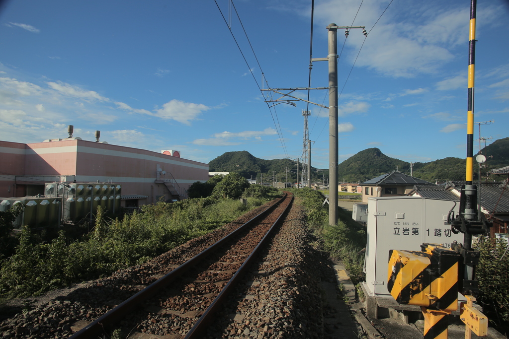 20‐35㎜『ゴンタ君』にて