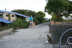 強烈に突進してくるラブちゃん