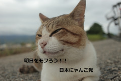 清き一票をトムにどうぞよろしく！