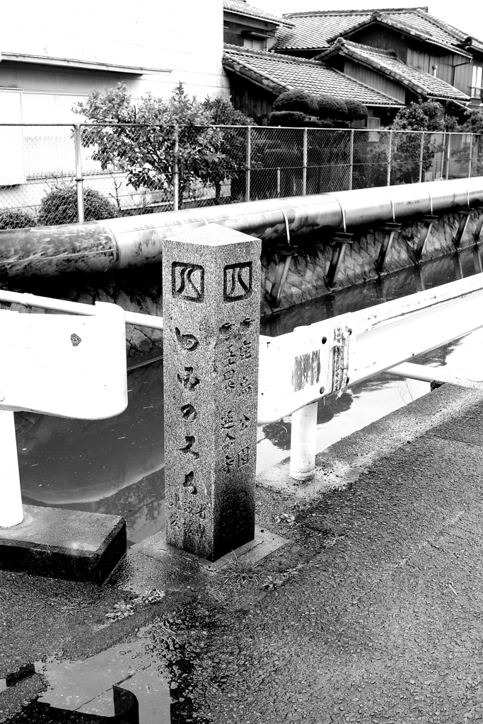 モノクロコントラスト高め　３