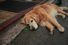 みゅうちゃん＠北条水軍ユースホステル