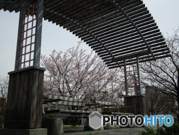 ベンチに座ってみませんか？