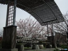 ベンチに座ってみませんか？