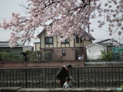 ばあちゃんと散歩