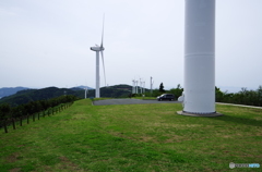 佐田岬の風車群③
