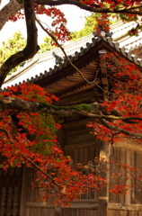 如法寺にて