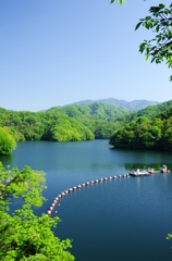 石手川ダム