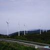 佐田岬の風車群②