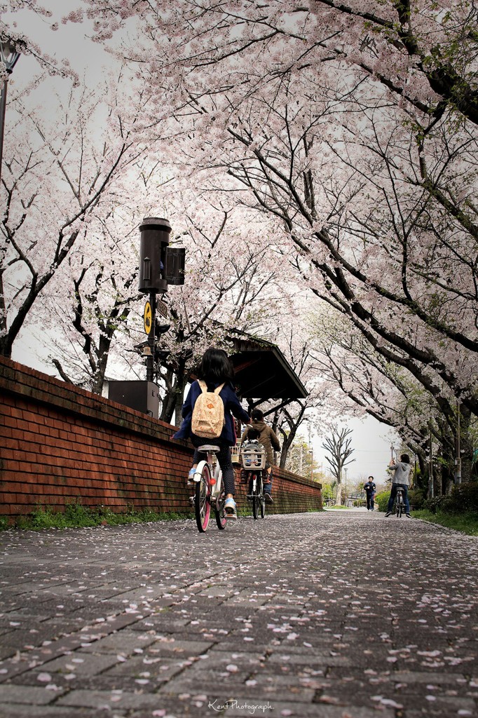 某駅跡地