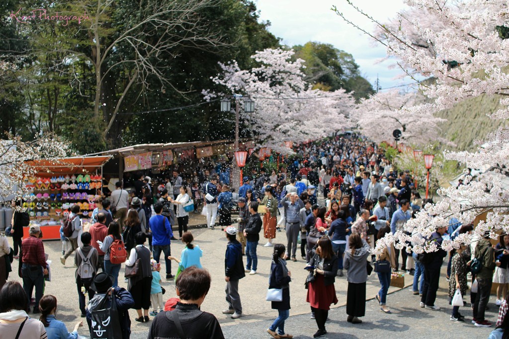 鶴山公園