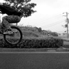 BunnyHop!