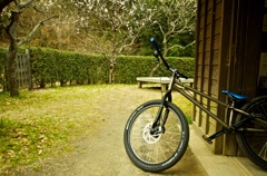 My Bike in the Winter
