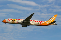 シンガポール　スクート