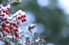 雪