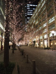 丸の内仲通り