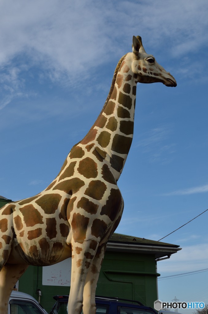 こんなところで・・・