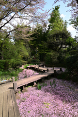 実篤公園にて
