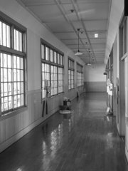 さあ、ぞうきんがけですよ！