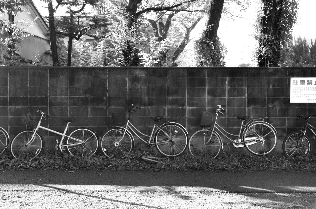 駐車禁止・・・