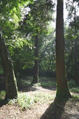 通り雨のあと