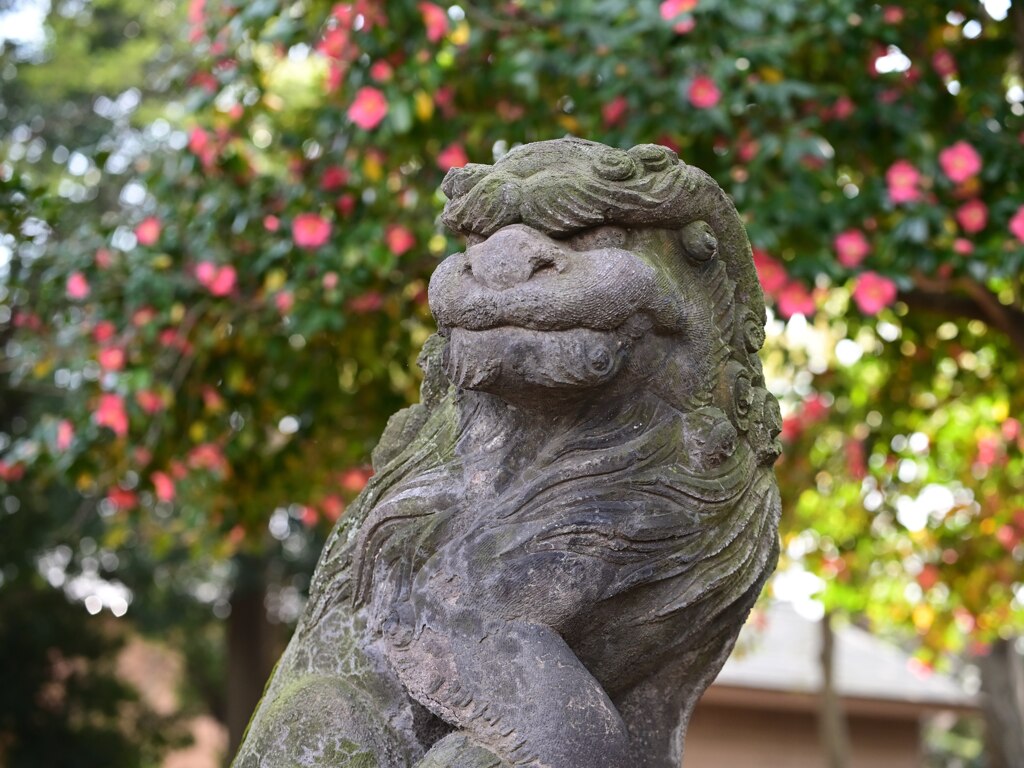 虎狛神社の狛犬