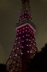 東京タワー前交差点付近より